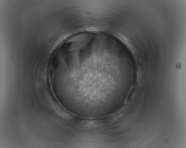 X0000090630297200707311311