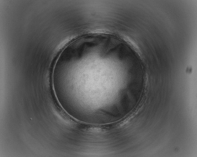 X0000090630298200707311311