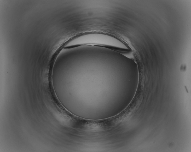 X0000090630299200707311311
