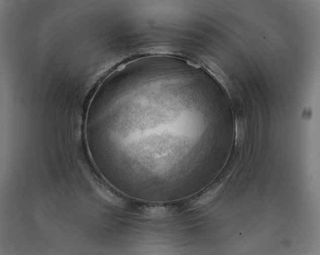 X0000090630301200707311311