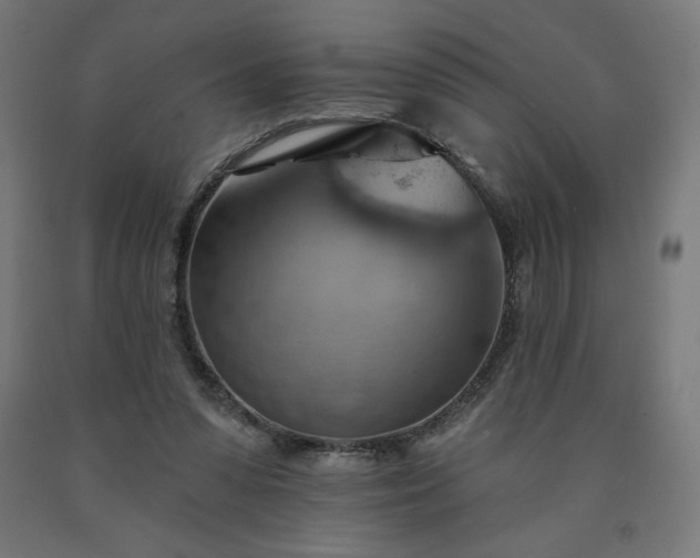 X0000090630303200707311311