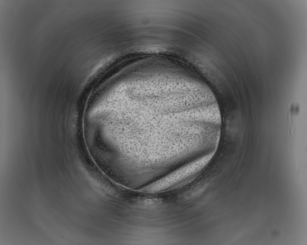 X0000090630304200707311311