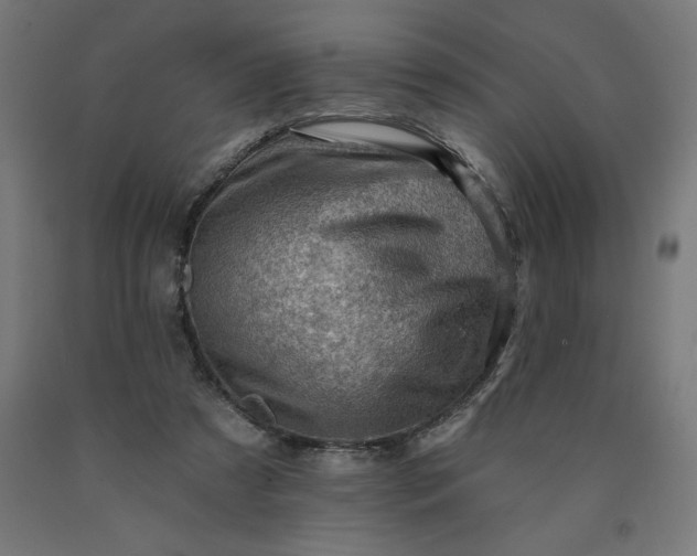 X0000090630305200707311311