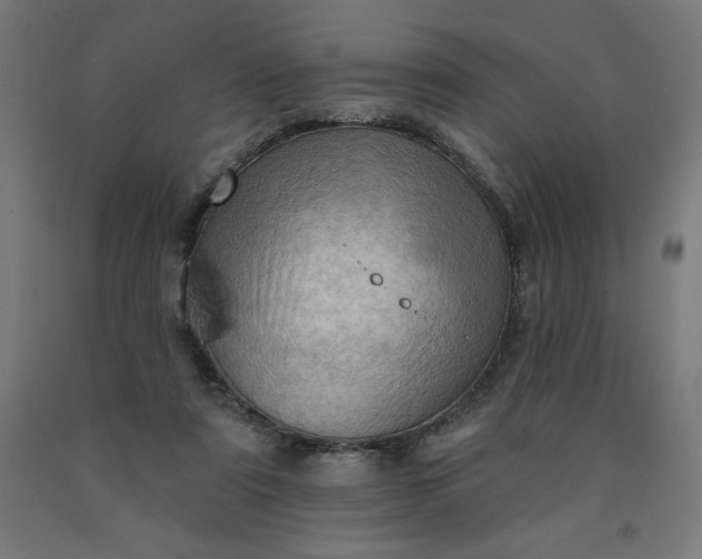 X0000090630307200707311311
