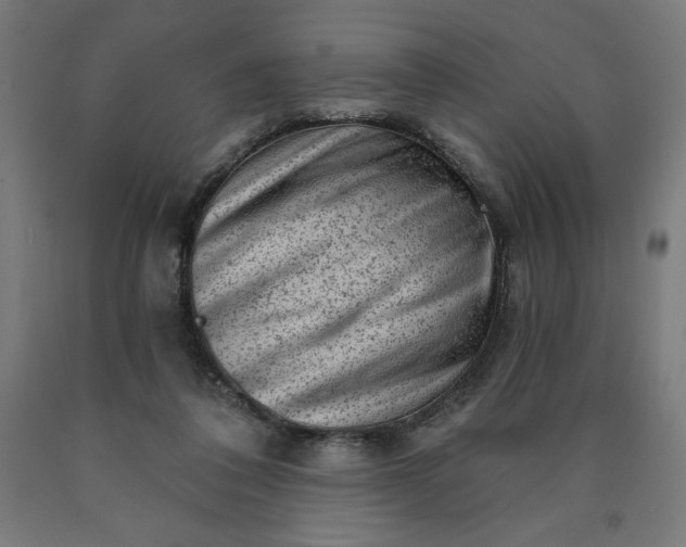 X0000090630308200707311311
