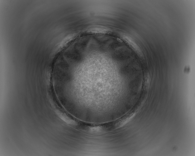 X0000090630309200707311311
