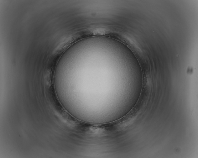 X0000090630311200707311311