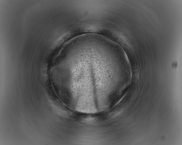 X0000090630312200707311311