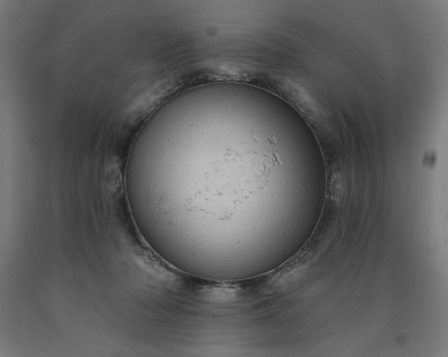 X0000090630318200707311311