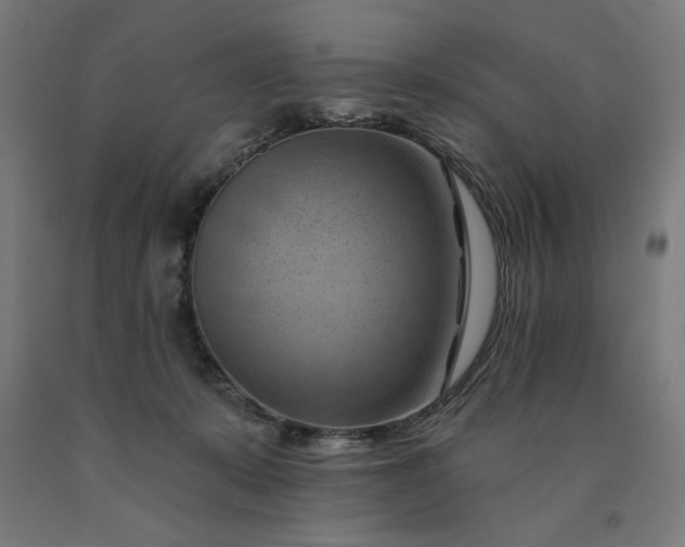 X0000090630319200707311311