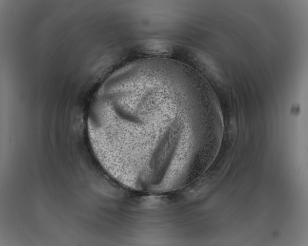 X0000090630320200707311311