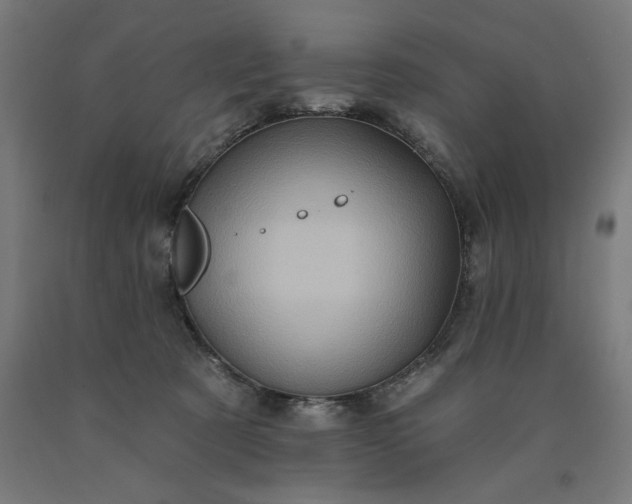 X0000090630321200707311311