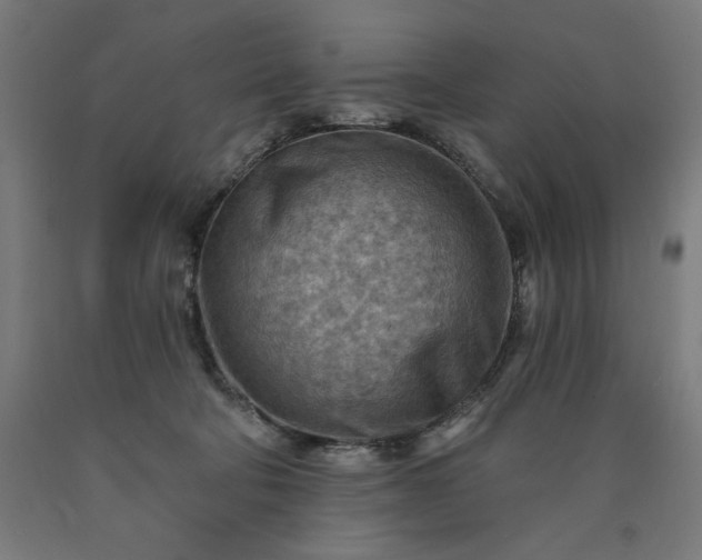 X0000090630322200707311311