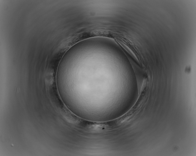 X0000090630323200707311311