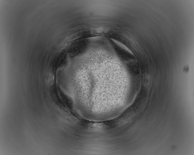 X0000090630324200707311311