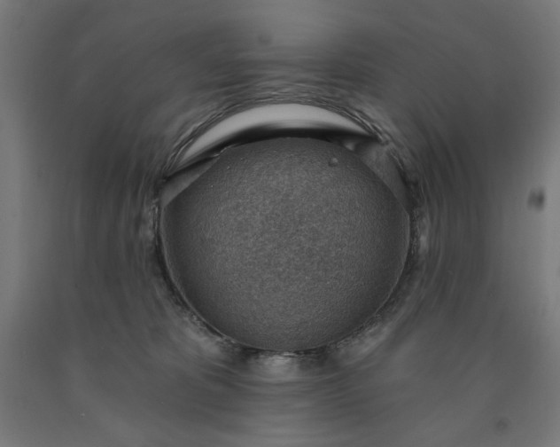 X0000090630325200707311311