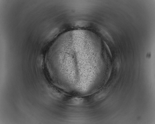 X0000090630328200707311311