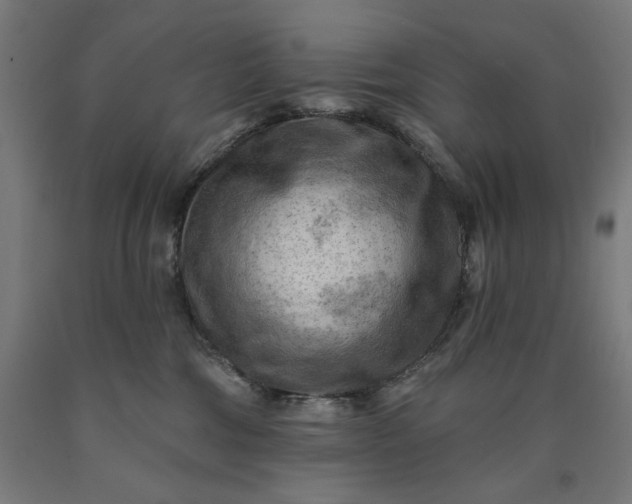X0000090630330200707311311