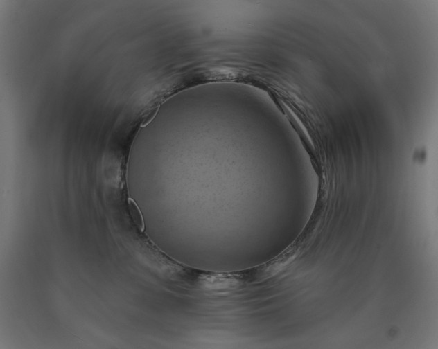 X0000090630331200707311311