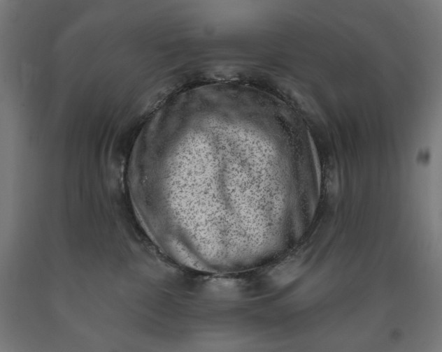 X0000090630332200707311311