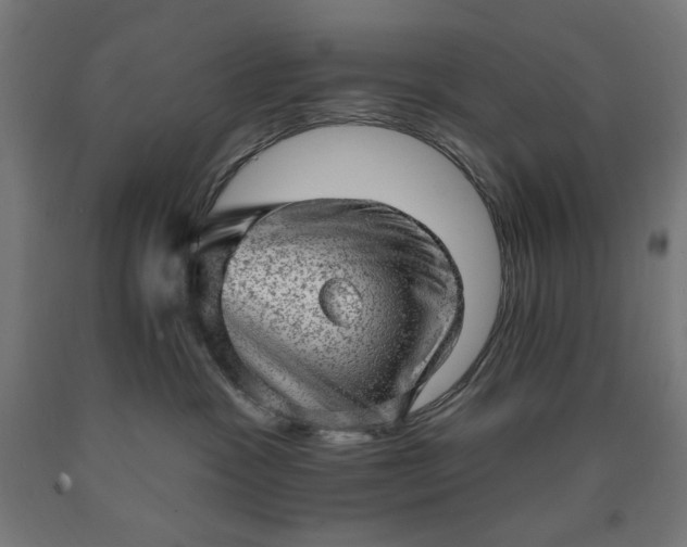 X0000090630333200707311311