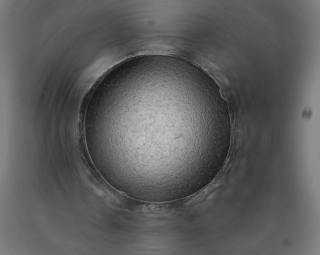 X0000090630338200707311310