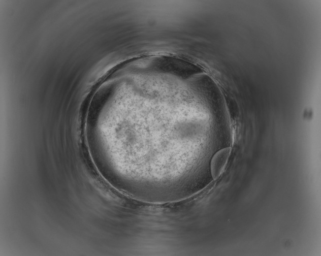 X0000090630339200707311310