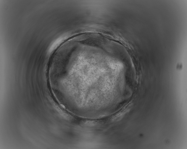 X0000090630341200707311310