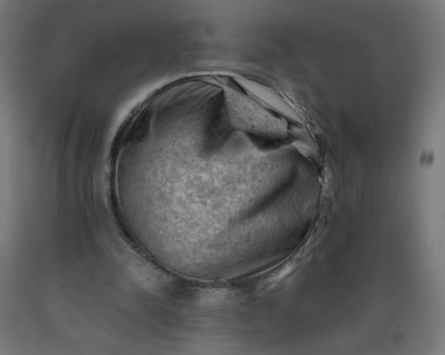 X0000090630342200707311310