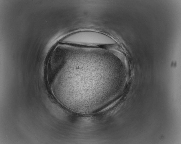 X0000090630344200707311310