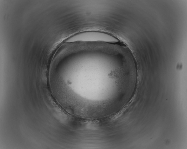 X0000090630345200707311310