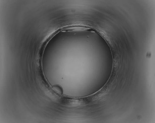 X0000090630347200707311310