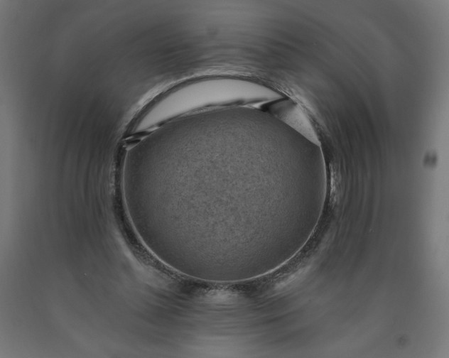 X0000090630348200707311310