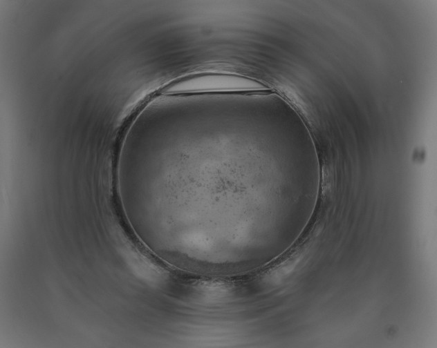 X0000090630349200707311310