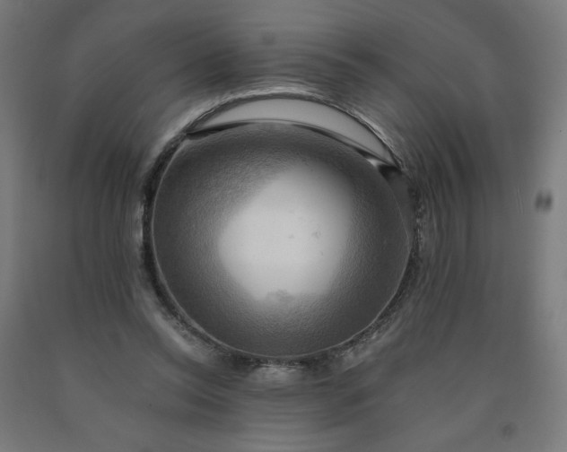 X0000090630350200707311310