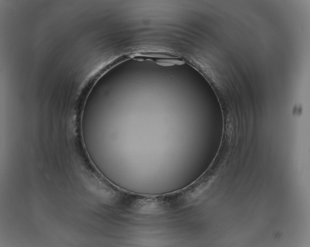 X0000090630351200707311310