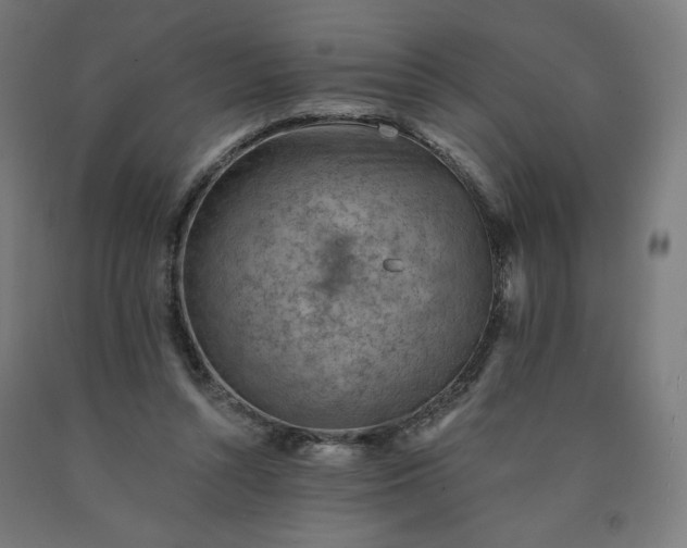 X0000090630352200707311310