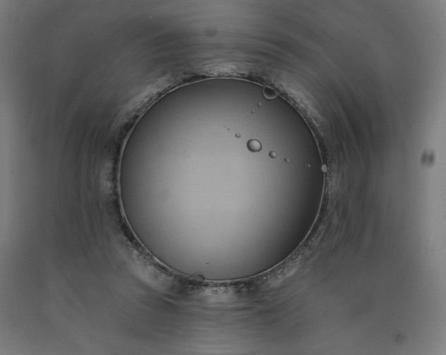 X0000090630353200707311310