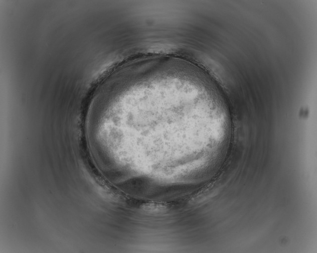 X0000090630354200707311310