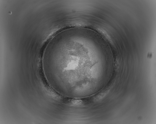X0000090630355200707311310