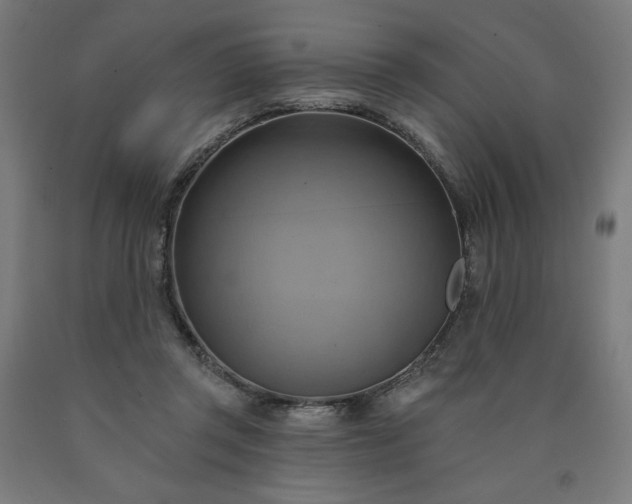 X0000090630357200707311310
