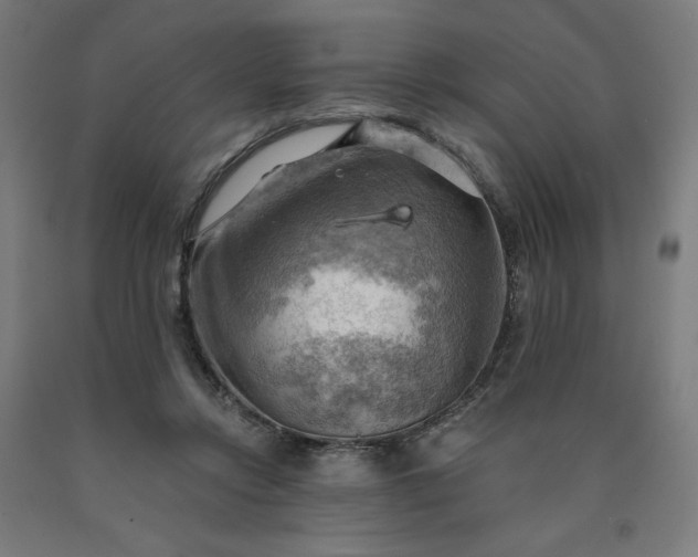 X0000090630358200707311310