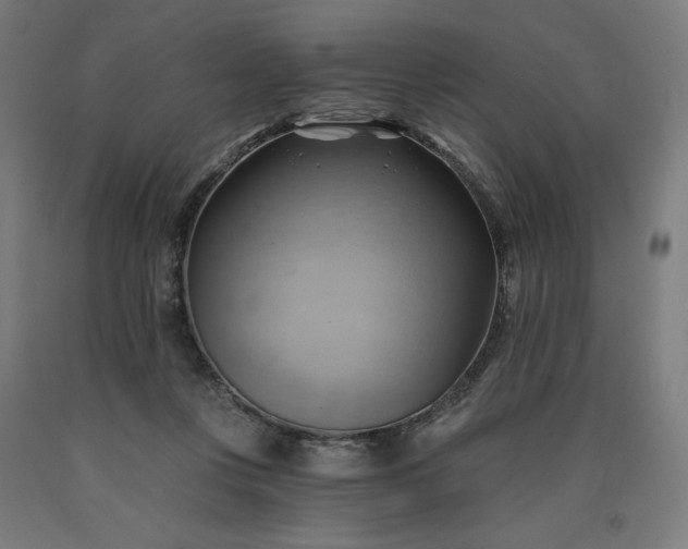 X0000090630359200707311310