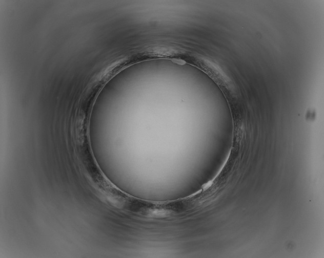 X0000090630360200707311310