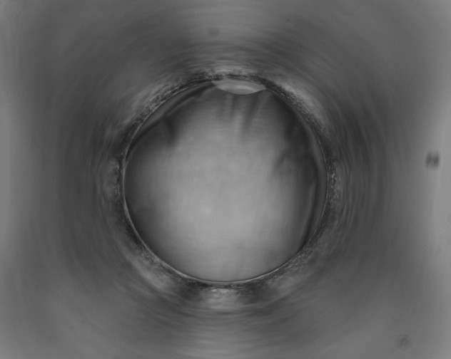 X0000090630361200707311310