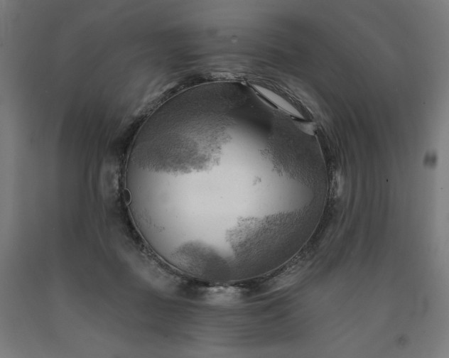 X0000090630363200707311310