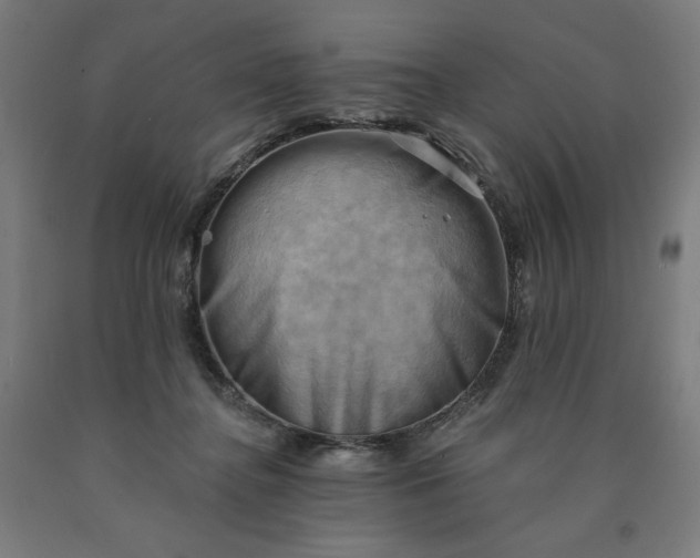 X0000090630364200707311310
