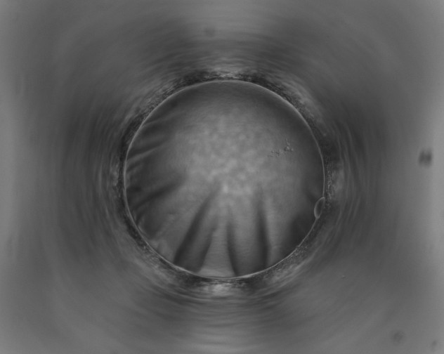 X0000090630365200707311310