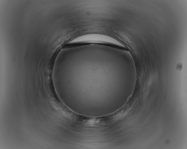 X0000090630366200707311310