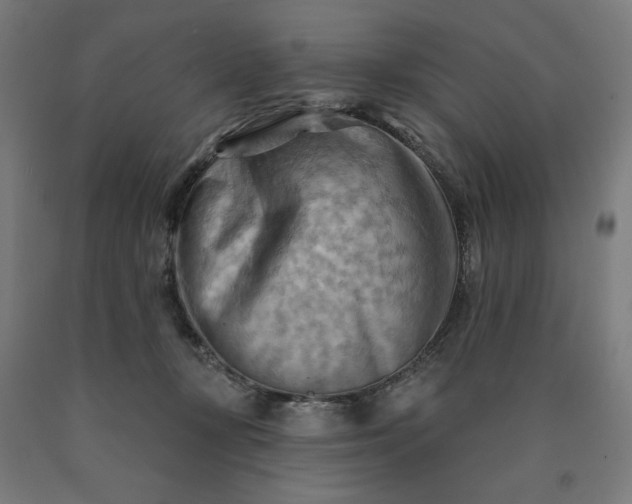 X0000090630367200707311310